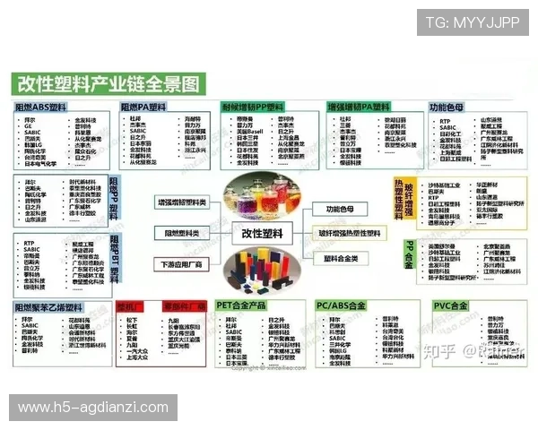 PA亚游国际市场的竞争格局与政策环境分析，为行业从业者提供实用的市场策略建议